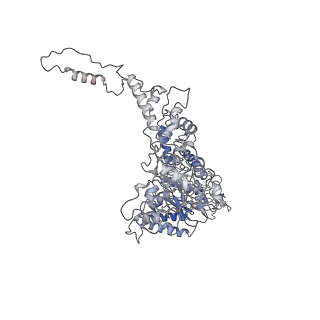 16373_8c0w_D_v1-0
Structure of the peroxisomal Pex1/Pex6 ATPase complex bound to a substrate in twin seam state
