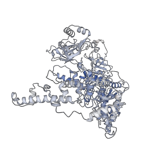 16373_8c0w_E_v1-0
Structure of the peroxisomal Pex1/Pex6 ATPase complex bound to a substrate in twin seam state