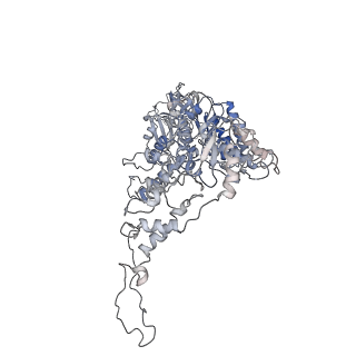 16373_8c0w_F_v1-0
Structure of the peroxisomal Pex1/Pex6 ATPase complex bound to a substrate in twin seam state