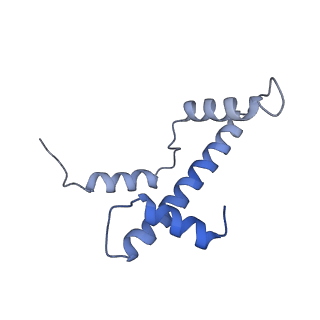 30267_7c0m_A_v1-2
Human cGAS-nucleosome complex