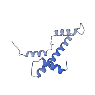 30267_7c0m_A_v1-3
Human cGAS-nucleosome complex