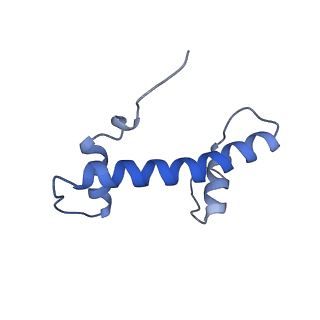 30267_7c0m_B_v1-2
Human cGAS-nucleosome complex