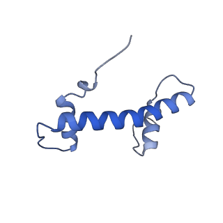 30267_7c0m_B_v1-3
Human cGAS-nucleosome complex