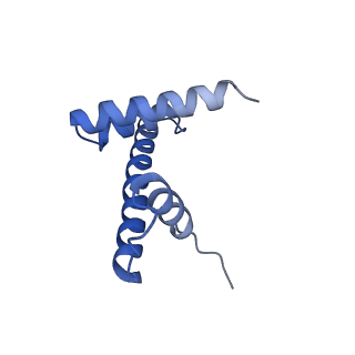30267_7c0m_D_v1-2
Human cGAS-nucleosome complex