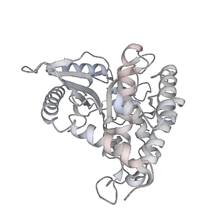 30267_7c0m_K_v1-2
Human cGAS-nucleosome complex