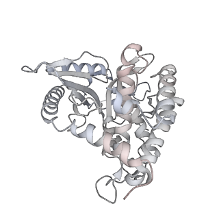 30267_7c0m_K_v1-3
Human cGAS-nucleosome complex