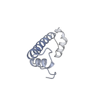 30267_7c0m_f_v1-2
Human cGAS-nucleosome complex