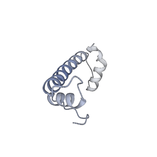 30267_7c0m_f_v1-3
Human cGAS-nucleosome complex