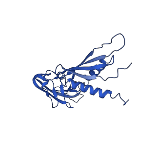 7320_6c04_A_v1-2
Mtb RNAP Holo/RbpA/double fork DNA -closed clamp