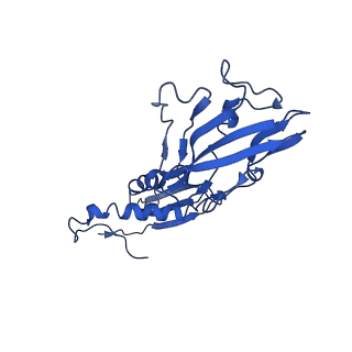 7320_6c04_B_v1-1
Mtb RNAP Holo/RbpA/double fork DNA -closed clamp