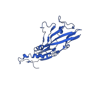 7320_6c04_B_v1-2
Mtb RNAP Holo/RbpA/double fork DNA -closed clamp