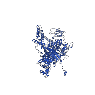 7320_6c04_D_v1-2
Mtb RNAP Holo/RbpA/double fork DNA -closed clamp