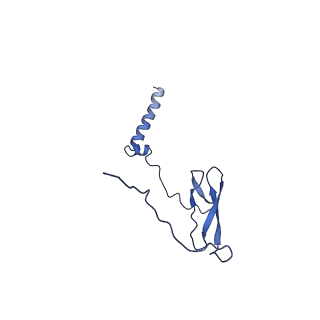 7320_6c04_J_v1-1
Mtb RNAP Holo/RbpA/double fork DNA -closed clamp