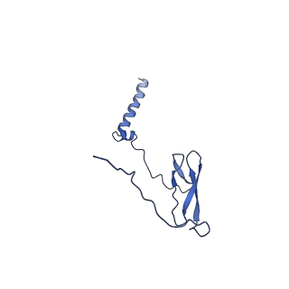 7320_6c04_J_v1-2
Mtb RNAP Holo/RbpA/double fork DNA -closed clamp