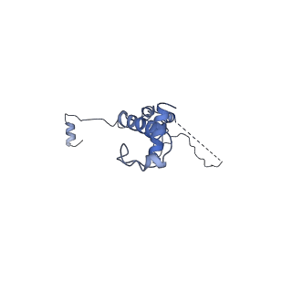 7324_6c0f_7_v1-3
Yeast nucleolar pre-60S ribosomal subunit (state 2)