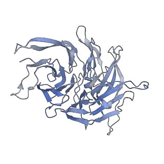 7324_6c0f_A_v1-3
Yeast nucleolar pre-60S ribosomal subunit (state 2)