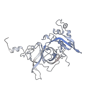 7324_6c0f_B_v1-3
Yeast nucleolar pre-60S ribosomal subunit (state 2)