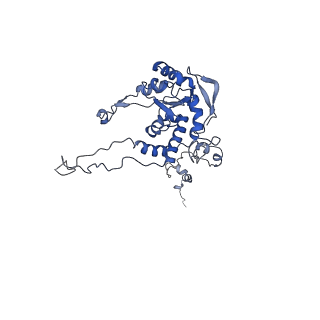 7324_6c0f_C_v1-3
Yeast nucleolar pre-60S ribosomal subunit (state 2)