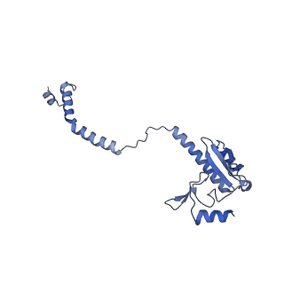7324_6c0f_D_v1-3
Yeast nucleolar pre-60S ribosomal subunit (state 2)