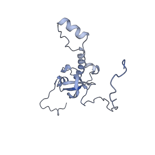 7324_6c0f_E_v1-3
Yeast nucleolar pre-60S ribosomal subunit (state 2)