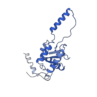 7324_6c0f_G_v1-3
Yeast nucleolar pre-60S ribosomal subunit (state 2)