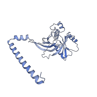7324_6c0f_I_v1-3
Yeast nucleolar pre-60S ribosomal subunit (state 2)