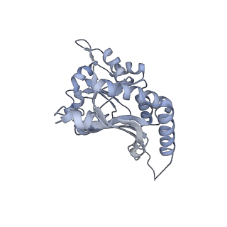 7324_6c0f_K_v1-3
Yeast nucleolar pre-60S ribosomal subunit (state 2)