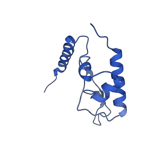 7324_6c0f_L_v1-3
Yeast nucleolar pre-60S ribosomal subunit (state 2)