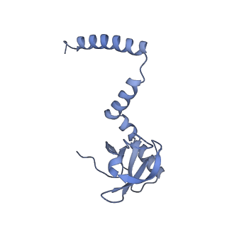 7324_6c0f_M_v1-3
Yeast nucleolar pre-60S ribosomal subunit (state 2)