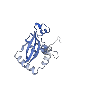 7324_6c0f_N_v1-3
Yeast nucleolar pre-60S ribosomal subunit (state 2)