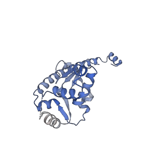 7324_6c0f_O_v1-3
Yeast nucleolar pre-60S ribosomal subunit (state 2)