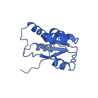 7324_6c0f_Q_v1-3
Yeast nucleolar pre-60S ribosomal subunit (state 2)
