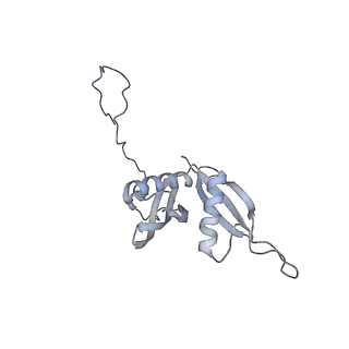 7324_6c0f_S_v1-3
Yeast nucleolar pre-60S ribosomal subunit (state 2)