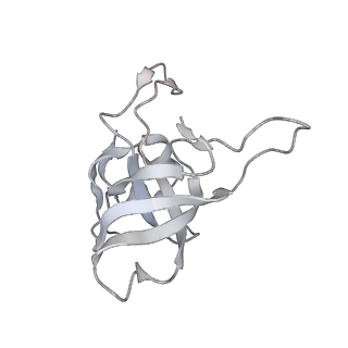 7324_6c0f_V_v1-3
Yeast nucleolar pre-60S ribosomal subunit (state 2)