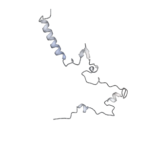 7324_6c0f_W_v1-3
Yeast nucleolar pre-60S ribosomal subunit (state 2)
