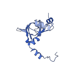 7324_6c0f_Y_v1-3
Yeast nucleolar pre-60S ribosomal subunit (state 2)