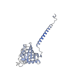 7324_6c0f_b_v1-3
Yeast nucleolar pre-60S ribosomal subunit (state 2)