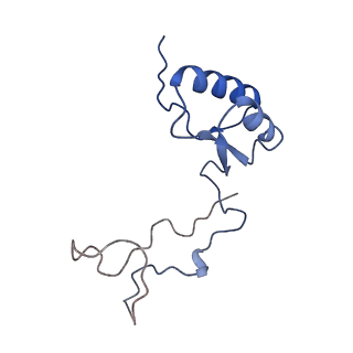 7324_6c0f_e_v1-3
Yeast nucleolar pre-60S ribosomal subunit (state 2)