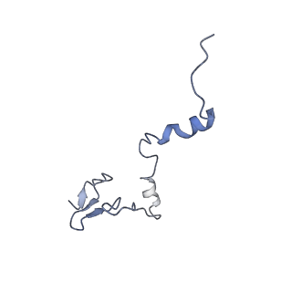 7324_6c0f_j_v1-3
Yeast nucleolar pre-60S ribosomal subunit (state 2)