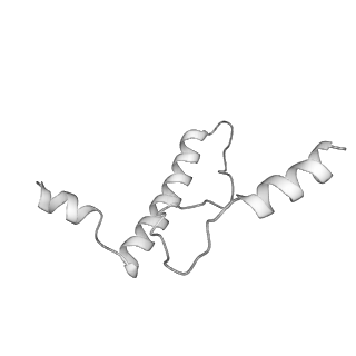 7324_6c0f_m_v1-3
Yeast nucleolar pre-60S ribosomal subunit (state 2)