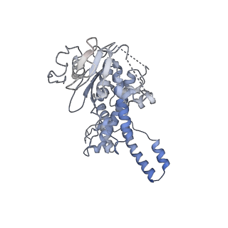 7324_6c0f_n_v1-3
Yeast nucleolar pre-60S ribosomal subunit (state 2)