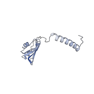 7324_6c0f_o_v1-3
Yeast nucleolar pre-60S ribosomal subunit (state 2)