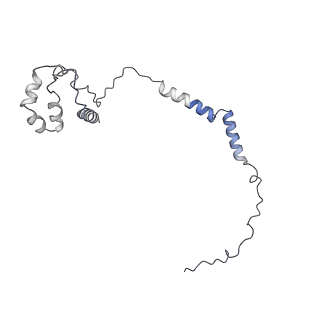 7324_6c0f_s_v1-3
Yeast nucleolar pre-60S ribosomal subunit (state 2)
