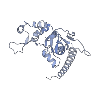 7324_6c0f_t_v1-3
Yeast nucleolar pre-60S ribosomal subunit (state 2)