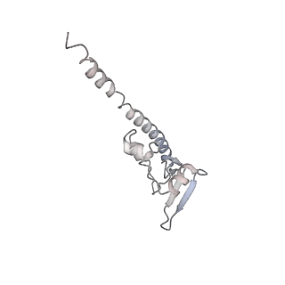 7324_6c0f_u_v1-3
Yeast nucleolar pre-60S ribosomal subunit (state 2)