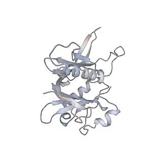 7324_6c0f_v_v1-3
Yeast nucleolar pre-60S ribosomal subunit (state 2)