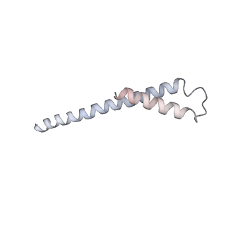 7324_6c0f_w_v1-3
Yeast nucleolar pre-60S ribosomal subunit (state 2)