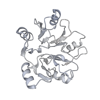 7324_6c0f_y_v1-3
Yeast nucleolar pre-60S ribosomal subunit (state 2)