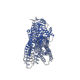 7325_6c0v_A_v1-5
Molecular structure of human P-glycoprotein in the ATP-bound, outward-facing conformation