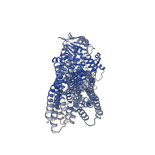 7325_6c0v_A_v1-6
Molecular structure of human P-glycoprotein in the ATP-bound, outward-facing conformation